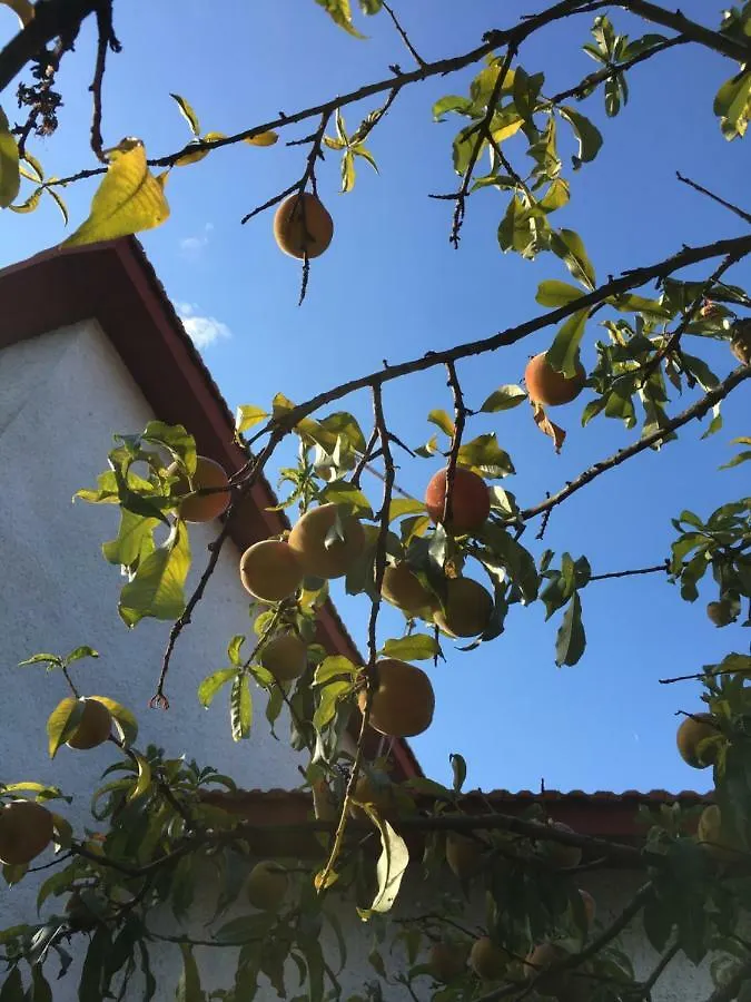 La Semplice Nel Blu Villa Villa San Pietro Italy
